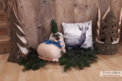 geschenkideen_weihnachten_1
