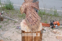 adler_11