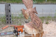 adler_12